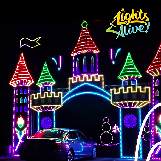 Lights Alive! Alamo Ranch (Single Vehicle)